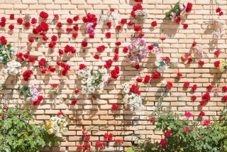 Nuevas investigaciones amplían los datos sobre las personas asesinadas en Aragón por el fascismo desde 1936 a 1950