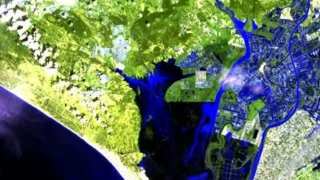 Doñana renace con la mayor inundación en años, reactivando su ecosistema: las lagunas se recuperan y regresan los anfibios