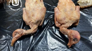 Clausurado un restaurante chino en Usera con 300 kilos de comida podrida: mataban a las palomas a patadas y las servían como pato laqueado