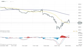 La Casa Blanca anuncia una subida de aranceles a China hasta el 104%; los índices borran sus ganancias (EN)