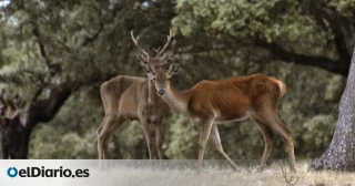 Más Madrid propone declarar El Pardo como Parque Nacional y que sus zonas de “coto privado” abran a los ciudadanos