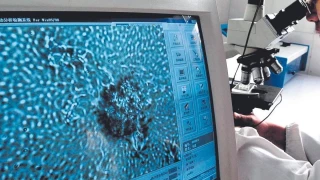 Países Bajos descubre 85 donantes masivos de semen: "Hay unos 3.000 niños con más de 25 medio hermanos"