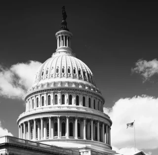 Estupidez contra maldad. Opinion