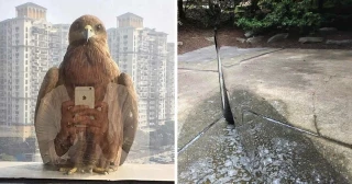 Compendio de interesantes fotografías no manipuladas [ENG]