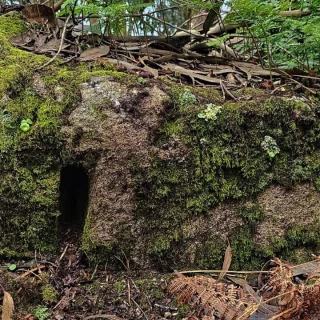 Hallan en Tambo restos del monasterio que habría derribado el corsario Francis Drake