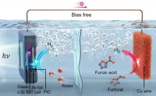 Investigadores surcoreanos desarrollan innovador sistema solar que produce hidrógeno verde con residuos de caña de azúcar a una eficiencia cuatro veces superior a la eficiencia comercial