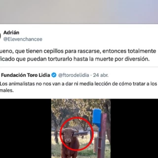 Aluvión de respuestas a un esperpéntico tuit de la Fundación Toro de Lidia: "Le ha puesto un cepillo para rascarse, la tortura ya está justificada"