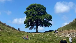“Una misión estúpida”, como acabar en tres minutos con dos siglos de historia y vida