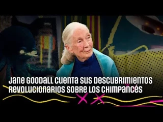 Jane Goodall y sus descubrimientos revolucionarios sobre los chimpancés