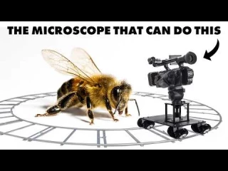 Este microscopio gira... y las imágenes son una locura [Eng]
