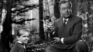 Historia de nuestro cine - El cebo