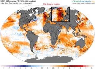 Las aguas que rodean a las islas británicas afectadas por una prolongada ola de calor marina extrema e histórica