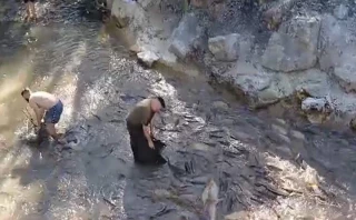 Miles de peces atrapados por el cierre del canal de Entrepeñas y Buendía: piden ayuda ante el "desastre"