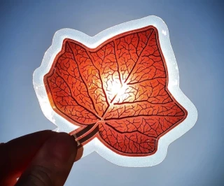 Las células solares orgánicas alcanzan un récord de eficiencia del 19,96% con un polímero 6 veces más barato