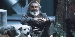 "Hay algo ahí de nuestra alma": 25 años de 'Amores Perros', la película mexicana que lo cambió todo