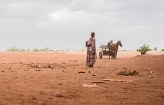 Sudán: "Nos golpearon y nos violaron allí mismo, en la carretera, en público"