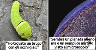 Fotos que van un poco más allá del mundo conocido [ITA]