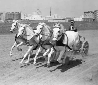 Charlton Heston entrenando para su icónica carrera de carros en “Ben-Hur” (1959) (ENG)