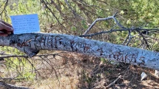 Un excursionista en Ibiza: “No sé qué es peor: la invasión de serpientes o la invasión de estúpidos humanos”