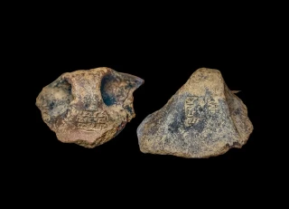 Descubren en una isla griega dos impresiones de sellos que cambian todo lo que sabemos sobre los orígenes de la escritura en el Egeo