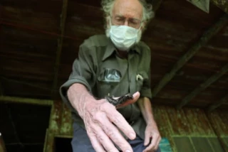 "La mitad del árbol de la vida": colapso de insectos en las reservas naturales [ENG]