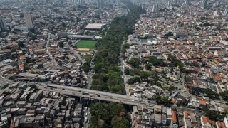 El jubilado que plantó 41.000 árboles y creó un bosque urbano en medio del asfalto