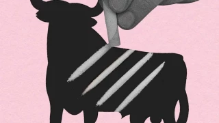 Cocaína, el "placer adulto" de los españoles del que nadie quiere hablar