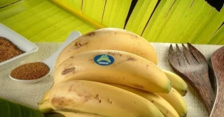 Plátano de Canarias se defiende y aclara por qué han subido tanto los precios: “Vivimos una situación muy complicada”