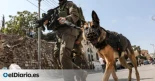 Europa envía a Israel los perros de ataque convertidos en armas brutales contra civiles: "Había sangre por todo el suelo"