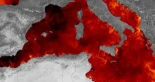 El Mediterráneo hierve: cuando el Mare Nostrum se convierte en un mar tropical