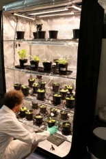 Startup alemana acelera 3.000 años de regeneración del suelo a pocas semanas usando proceso hidrotermal de 90 años