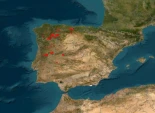 La web de la NASA que te permite ver los incendios activos en España en tiempo real
