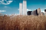 La artista Agnes Denes cultiva un campo de trigo en el Bajo Manhattan, Nueva York, 1982 [ENG]