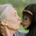 Muere Jane Goodall a los 91 años, pionera investigadora de vida silvestre