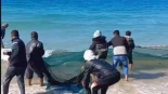 Este vídeo de los pescadores en Palestina es un todo soplo de esperanza: todo gracias a la Flotilla