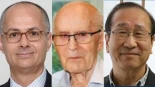 Nobel de Química 2025 para Susumu Kitagawa, Richard Robson y Omar Yaghi por desarrollar una nueva arquitectura molecular