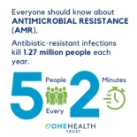 El uso indiscriminado de antibióticos en humanos y granjas llevará inevitablemente al desastre sanitario
