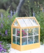 DIY: Mini invernadero