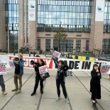 Igualdad Animal acusa a la Comisión Europea de incumplir su promesa de reformar las leyes de bienestar animal