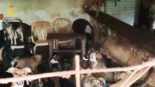 PACMA pide aumentar las penas por maltrato tras el hallazgo de 6 perros muertos en Arganda