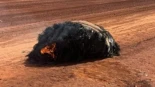 Basura espacial: un fragmento de cohete cae en Australia y alerta al mundo