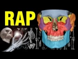 Rap de los huesos - Aprende los 206 huesos del cuerpo humano
