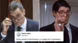 No es un pájaro, no es Clark Kent, es "perro con gafas": los tuiteros resumen las pullas de Sánchez y el show de las derechas en la comisión del Senado
