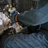 Debate histórico en el Congreso: hacia el fin de la alimentación forzada