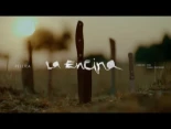 Pellica - La encina