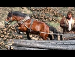 Caballos de arrastre: héroes del monte tras un incendio. Peligrosa retirada de troncos quemados