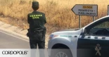 Confirman la condena a un Guardia Civil por entorpecer una investigación que apuntaba a sus compañeros