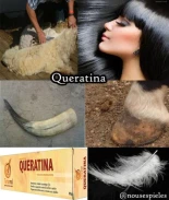 La más absurda masacre de animales