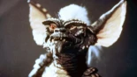 Warner Bros. confirma 'Gremlins 3' con Chris Columbus como director y Steven Spielberg como productor, se estrenará el 19 de noviembre de 2027 [ENG]