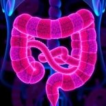 El cáncer colorrectal burla la inmunoterapia empleando un mecanismo de defensa dual [Eng]